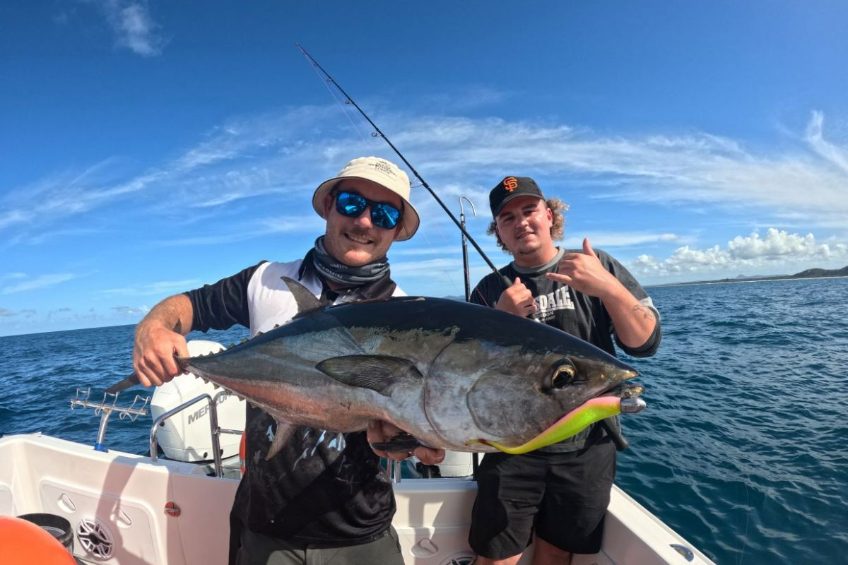 Hour Shared Fishing Charter At Sunshine Coast Amazed, 41% OFF