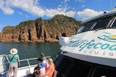 1 hour Scenic Cruise to Cape Woolamai