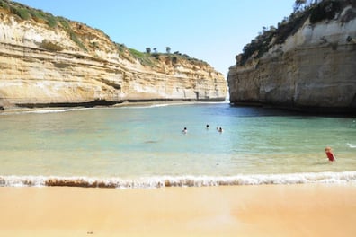 2-Day Tour in Great Ocean Road and Phillip Island
