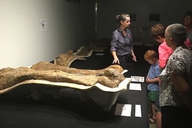Meet Australia's Largest Dinosaurs