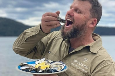 Sydney Oyster Discovery Experience