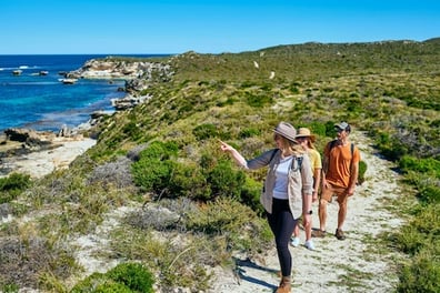  Rottnest Island Wander The West End Guided Hike 