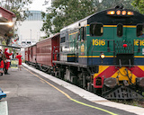 The Queensland Pioneer Steam Railway