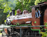 The Rosewood Railway