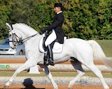 Marcela Adkins Performance Horses
