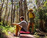 Drop Bear Adventures Fraser Island Tours
