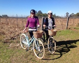 Grapemobile Bicycle Hire And Tours