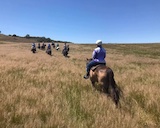 Burnelee Excursions On Horseback