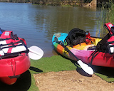 Reservoir Kayak Hire South Australia - Myponga