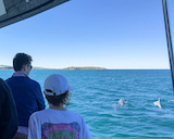 The Big Duck Boat Tours Adventure Tours In Victor Harbor