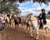 Gawler Horse Riding Lessons