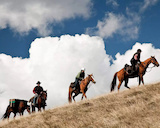 Bogong Horseback Adventures & Spring Spur Stay