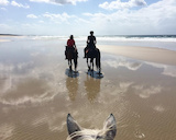 Seahorses Riding Centre - Byron Bay