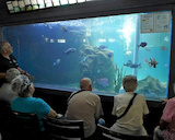 Merimbula Aquarium