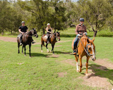 Tamworth Kootingal Horse Riding Adventures