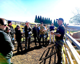 Maugers Paddock To Plate Tours