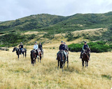 Pukatea Horse Trekking & Adventures