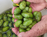 Watercress Creek Olives And Limes