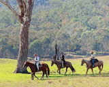 Townsville Horse Riding Centre