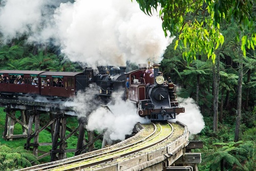 Puffing Billy Steam Train and Healesville Sanctuary Tour