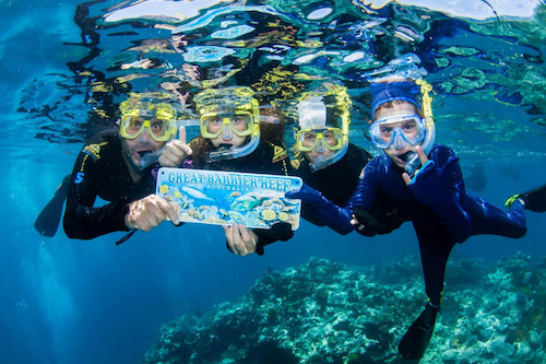  One of a Kind Eco-Experience for Certified Diver
