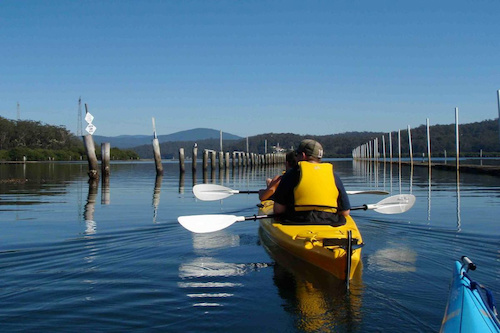 Canberra to Coast Kayak and Oyster Experience