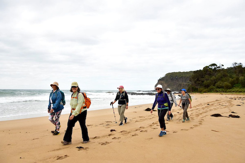 Guided Three Day Walk along the South Coast of NSW