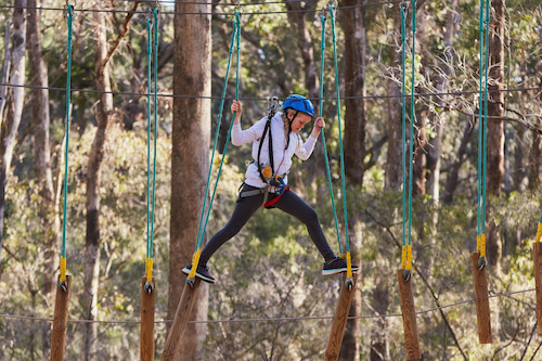 Two Hours Adrenaline-Filled Fun at Forest Adventure Park