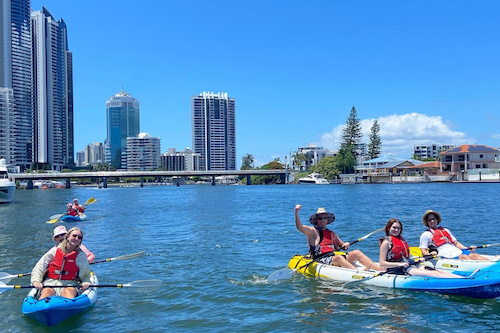 Relaxing Gold Coast Kayak Tour stopping at the Farmers Markets