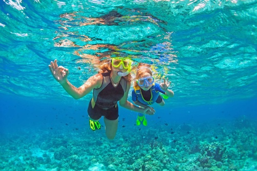 An Enchanting Underwater Snorkelling Experience in Gold Coast