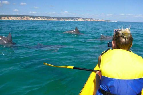 Noosa Dolphin View Sea Kayak & 4WD Beach Driving