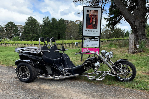Immersive Wine Tasting Tour by Motorcycle