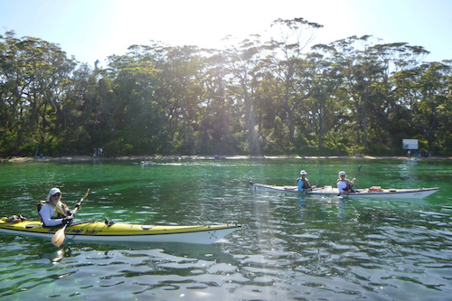 Double Kayak Hire in Jervis Bay