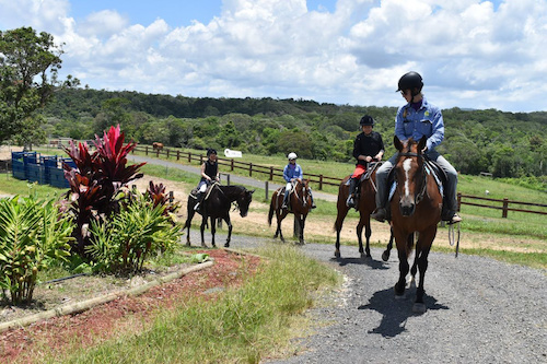 Ultimate Rainforest Experience - Horse Ride & ATV Combo