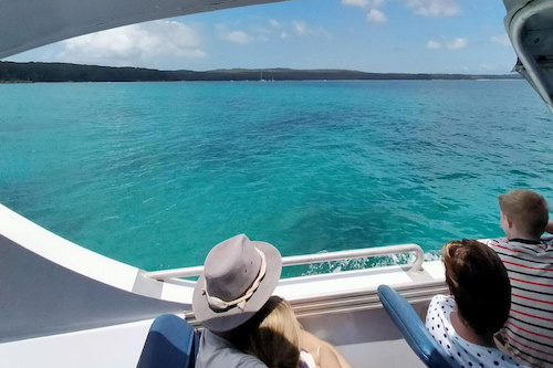 Whale Watching Cruise on Jervis Bay