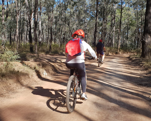Mountain Bike the Greater Blue Mountains Trails