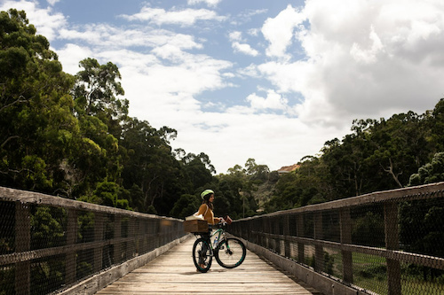 Mountain Bike Hire for Camperdown to Timboon Rail Trail