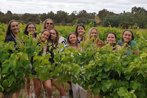 Build your own Private Wine Tour in Margaret River