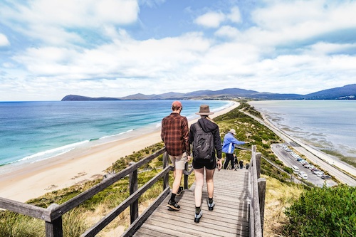 Food, Sightseeing and Lighthouse Tour at Bruny Island