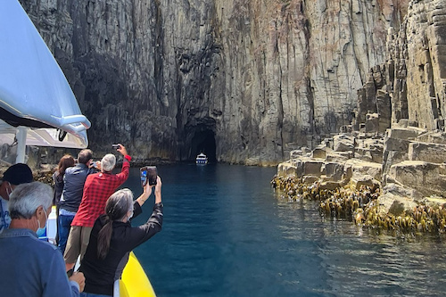 Full-day Tasman Island Tour with Cruise from Hobart
