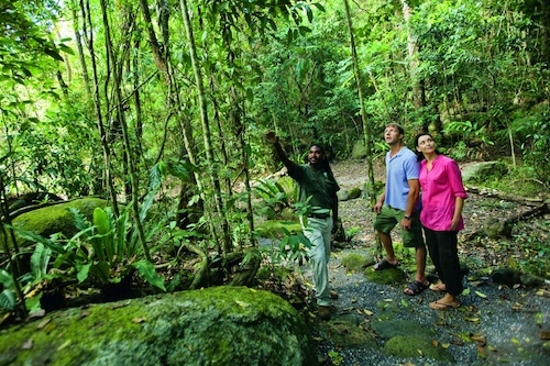 3 Days Cairns Adventure Group Package