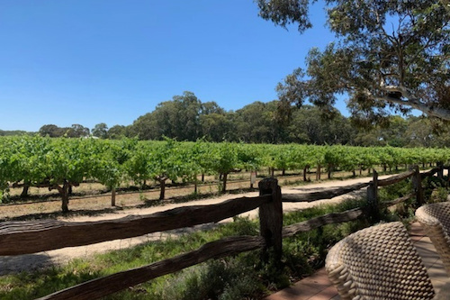 Private Barossa Valley Wine Tour for up to 4 Passengers
