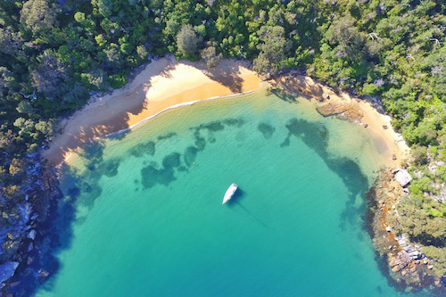 Private Charter to Harbour's Hotspots & Hidden Beaches 