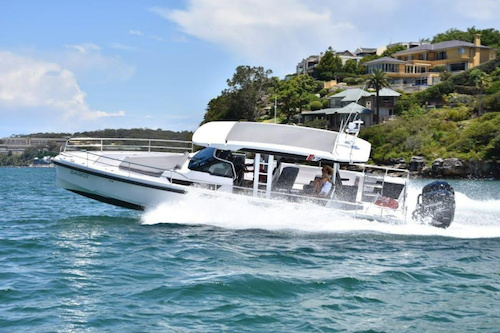 Private Boat Charter to See Sydney's Diverse Wildlife