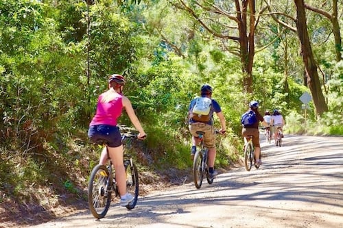 Guided Cycle Tour | Mornington Peninsula Victoria | Cool Climate Wine Region 