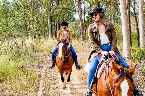 1 hour Bushland Trail Horse Ride in the Hunter Valley 