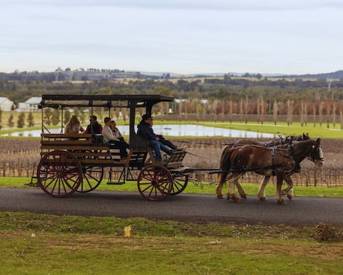 45-minute Horse Drawn Carriage Ride through the Hunter Valley