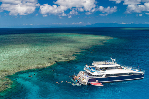 Outer Barrier Reef - Full Day Cruise, Snorkel & Dive