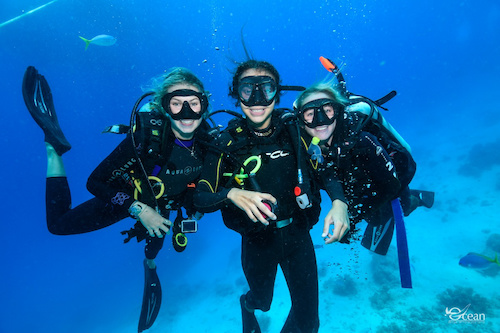 Full Day Cruise & Certified Scuba Diving