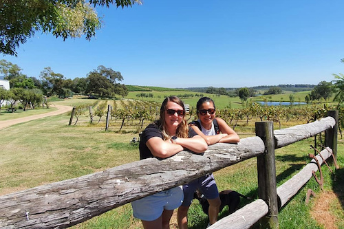 Morning Tour of Hunter Valley's Best Wineries